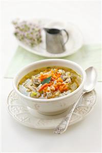 Chicken giblet and vegetable soup