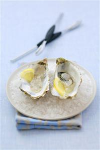 Two oysters with lemon on ice
