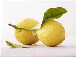 Lemons with stalk and leaf