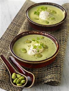 Cream of bean soup in two bowls