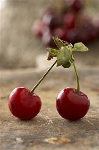 Pair of cherries (Morello cherries)