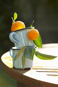 Ornamental oranges in two mugs