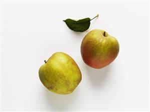 Two apples (variety: Boskop)