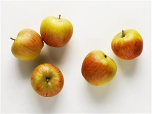 Apples (variety: Gold Pearmain)