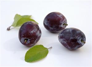 Three plums with leaves