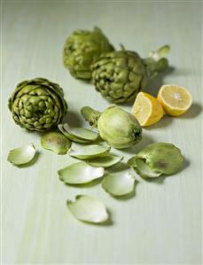 Artichokes and artichoke leaves with lemon halves