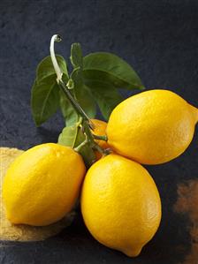 Fresh lemons with leaves