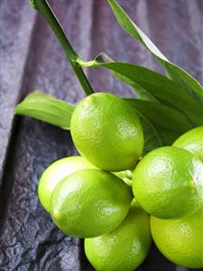 Green lemons