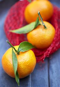 Three clementines with net bag