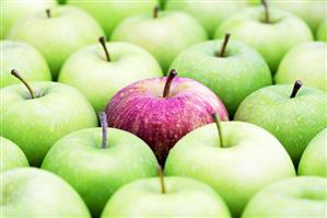 Red apple (Royal Gala) among Granny Smith apples