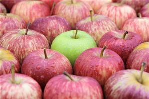 A green apple (Granny Smith) among red apples (Royal Gala)