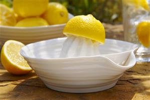 Lemon on lemon squeezer