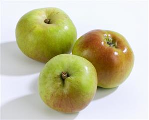 Three cooking apples (variety: Bramley)