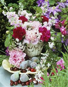 Fresh figs, cherries and vase of summer flowers