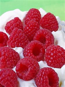 Fresh raspberries on cream