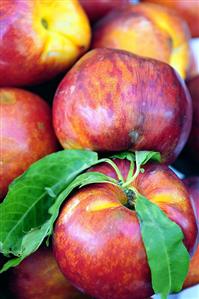 Fresh nectarines on a market stall in Lazio, Italy