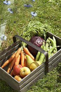 Fresh fruit and vegetables in a wooden basket on grass