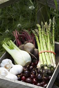 Fresh vegetables and cherries in a wooden box on grass