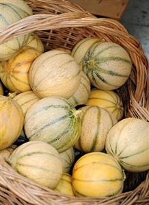 Muskmelons in a basket