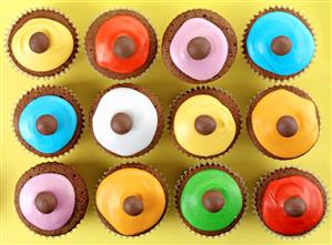 Twelve chocolate cupcakes with coloured icing