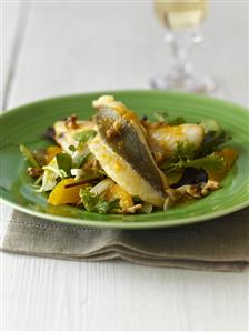 Fillet of John Dory on watercress and orange salad