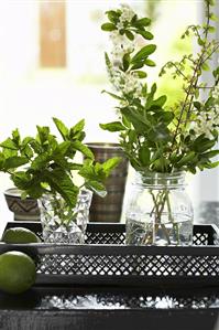 Bunches of herbs on a tray with limes