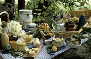 Picnic with Salad and Vegetables; Fruit and Wine