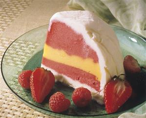 Slice of Molded Ice Cream and Sorbet Layered Cake with Berries