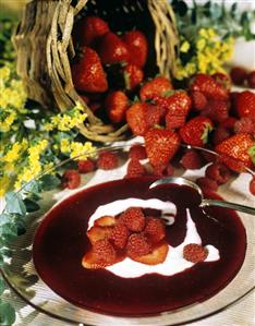 Bowl of Berry Soup with Cream; Raspberries and Strawberries