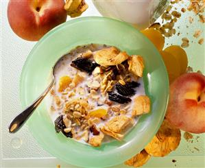 Granola with Dried Apricots and Plums