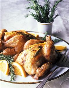 Cornish Game Hen. Receta disponible TR