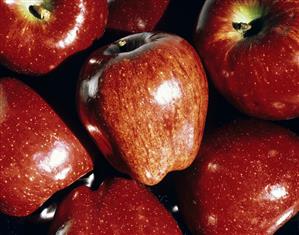 Several Red Delicious Apples