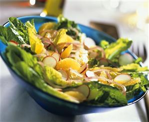 Citrus Salad with Radishes and Red Onions