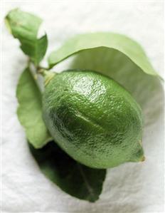 A Single Lime