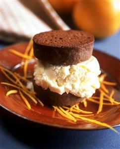 Vanilla Ice Cream Sandwich