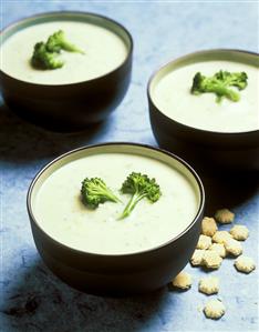 Three Bowls of Cream of Broccoli Soup