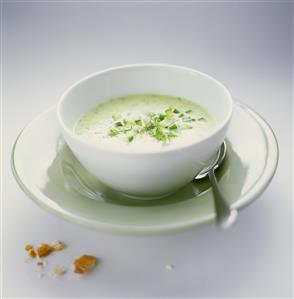 Cucumber Soup