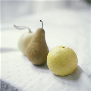 Bosc Pear and Asian Pear