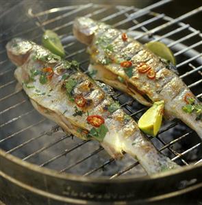 Two Whole Trout on the Grill with Lime & Chiles