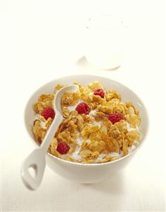 A Bowl of Cereal with Raspberries