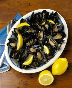 A Bowl of Mussels