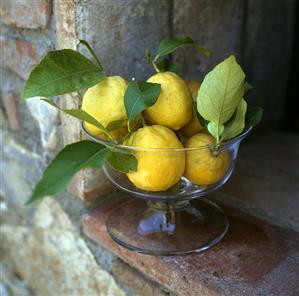 Lemons with Leaves in a Glass Pedestal Bowl