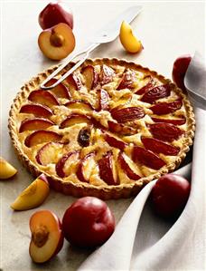 Plum custard tart