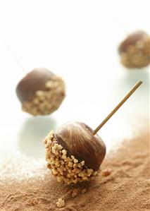 Chocolate Dipped Apple with Nuts