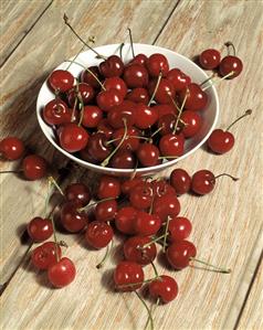 Bing Cherries