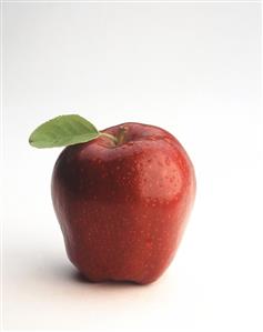 Red Delicious Apple with Leaf; Misted with Water