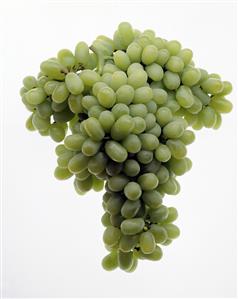 Green Table Grapes