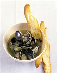 Clam Soup