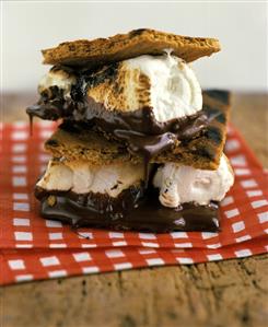 Grilled marshmallows with chocolate sauce for a picnic