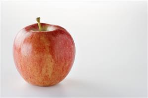 A Single Whole Apple on a White Background